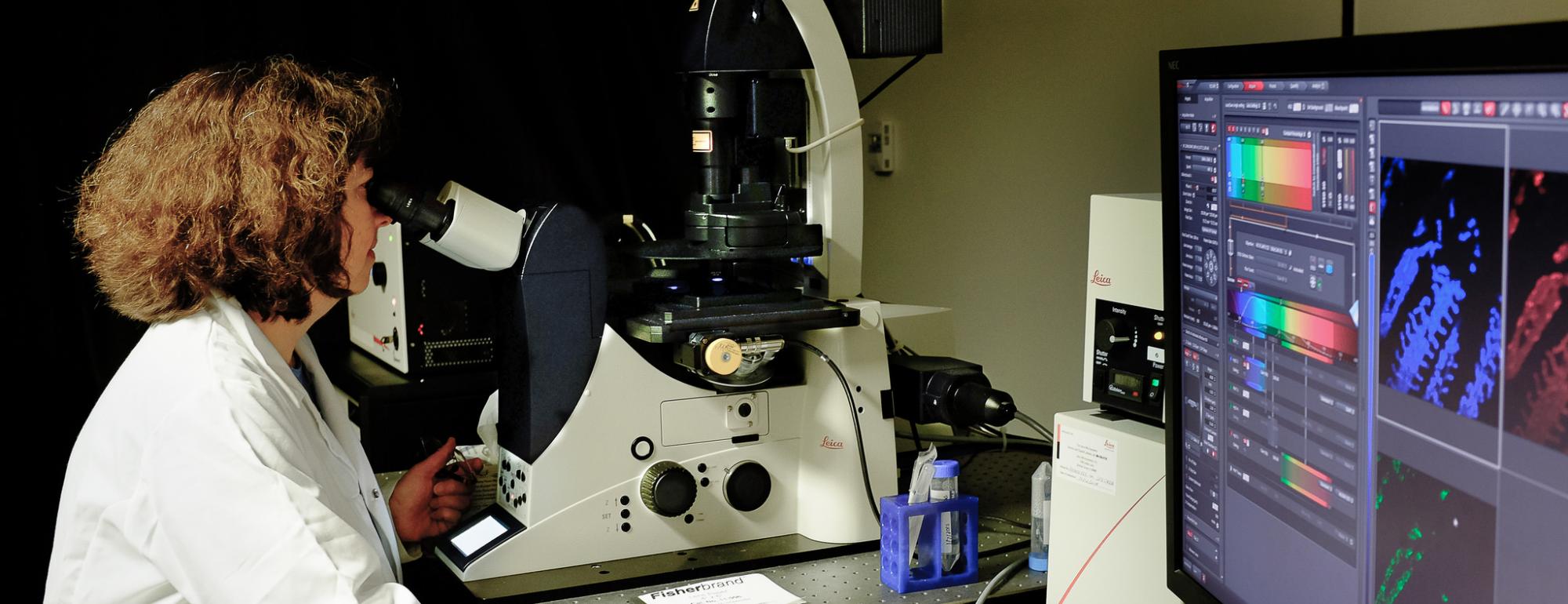 Ingrid Brust-Mascher uses a Leica Super High-Resolution Confocal Microscope in the Health Sciences District Advanced Imaging Facility in VetMed3B at the University of California School of Veterinary Medicine.